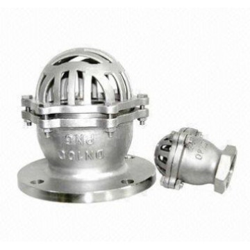 Stainless Steel Check Valve (H42)